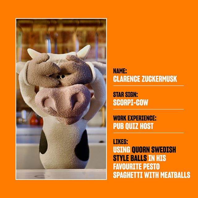 TV star profile for spy profile for Clarence Zuckermusk, a cow puppet. His star sign is Scorpi-cow and his favourite product is Quorn Swedish Style Balls. He also has work experience as a pub quiz host.