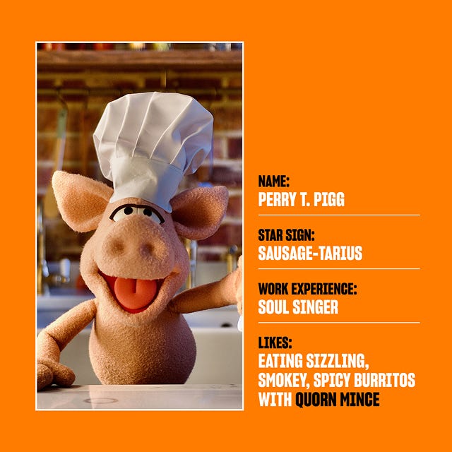 TV star profile for Perry T. Pigg, a pig puppet. His star sign is Sausage-Tarius and and his favourite product is Quorn pieces. He also has work experience as a soul singer.